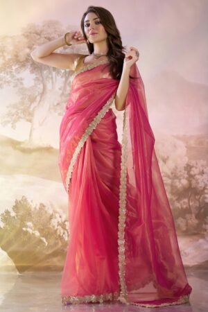 Sequinned Organza Saree