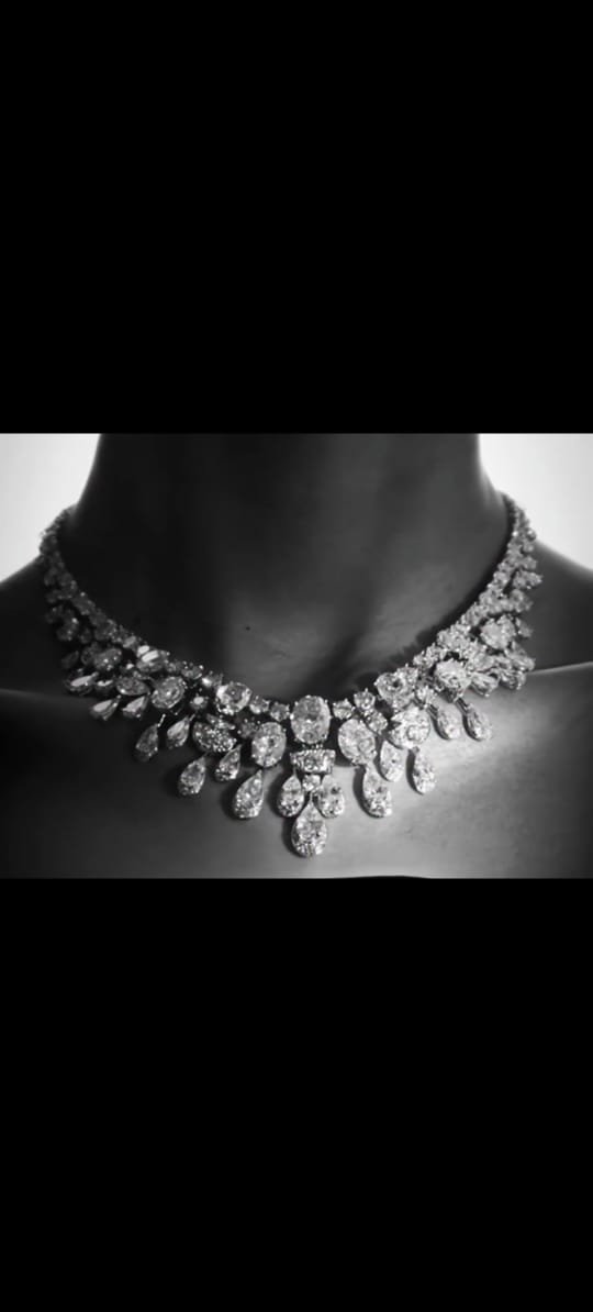 Exquisite Black-and-White Diamond Necklace